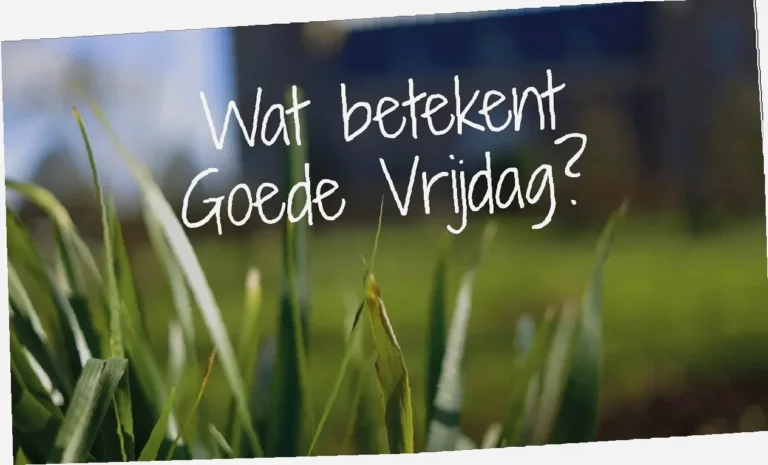 is het morgen een feestdag