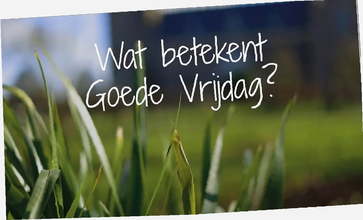 is het morgen een feestdag