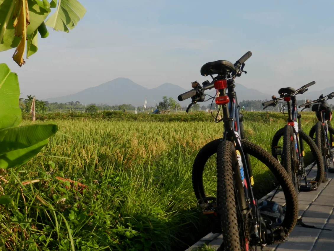 is het veilig om nu te reizen naar indonesië