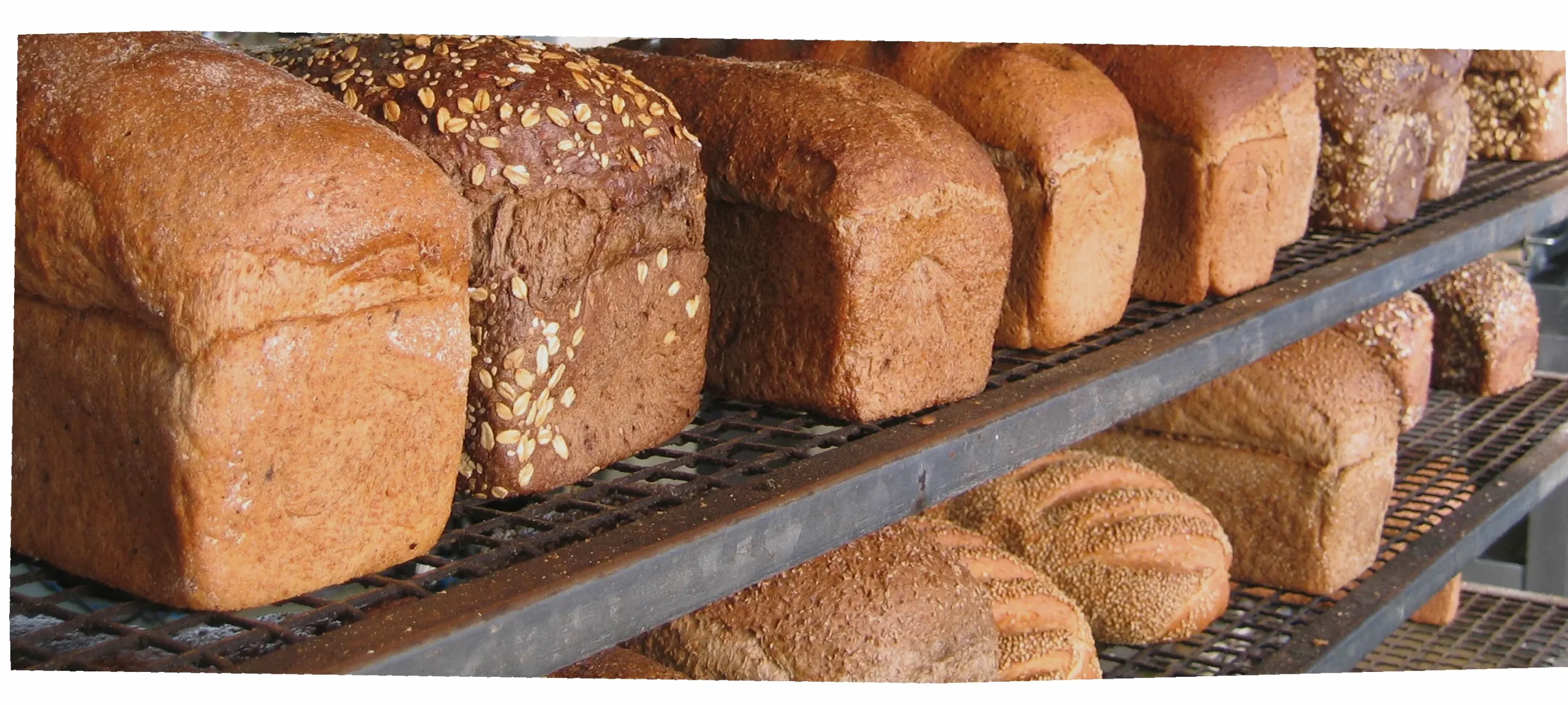 wat kost een brood in Sittard