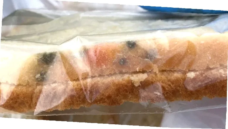 wat kost een brood in Stadskanaal