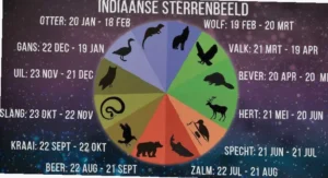 welk sterrenbeeld hoort bij 1 november